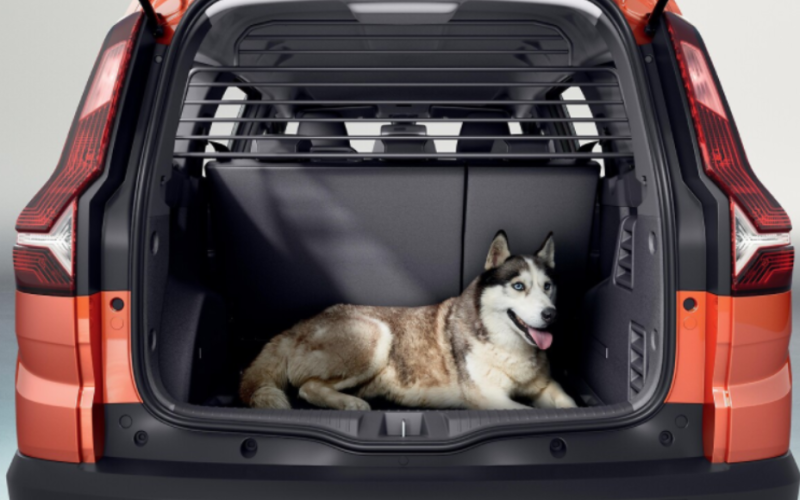 Dacia - Ayırma Izgarası